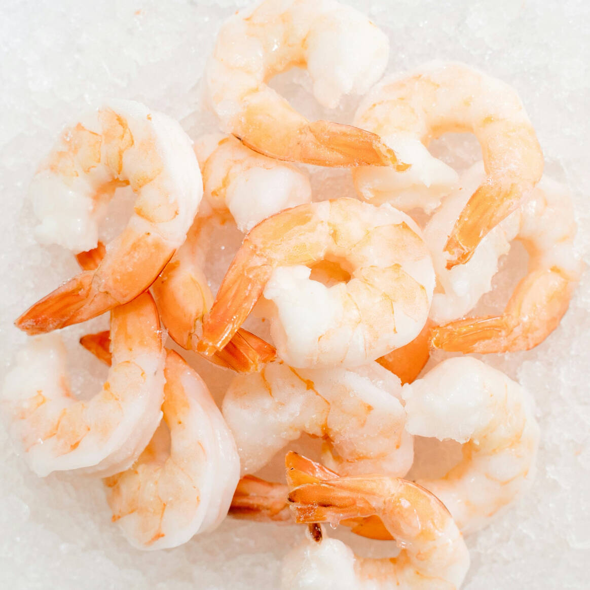 Camarones