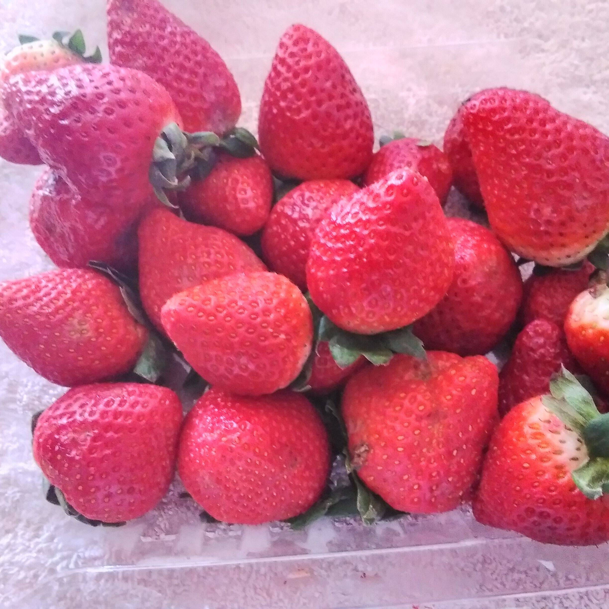 LITRO DE LICUADO DE FRESAS CON LECHE