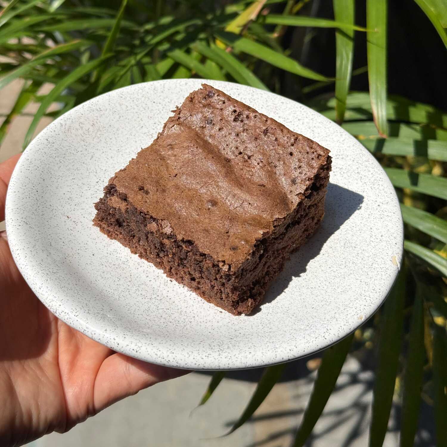 BROWNIE CHOCOLATE SEMIAMARGO
