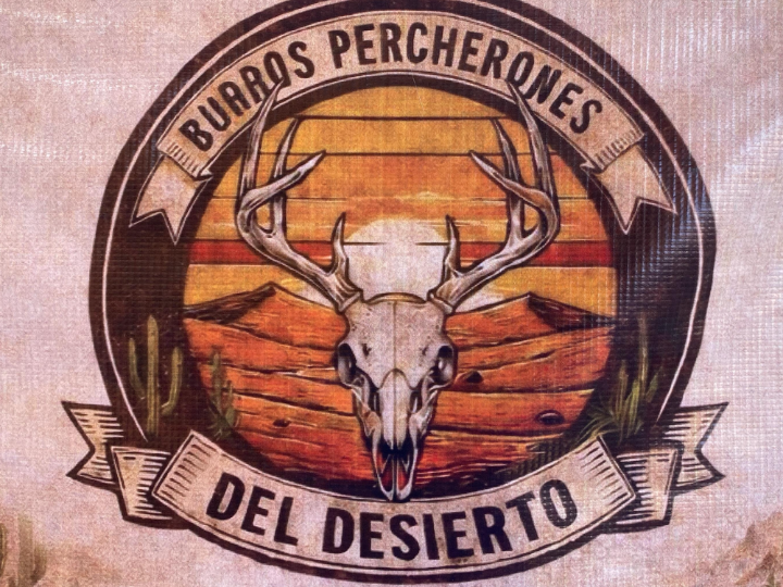 Burros Percherones Del Desierto