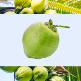 Ele chega para você fechado, mas já pré-cortado, bem fácil de abrir e tomar na hora!