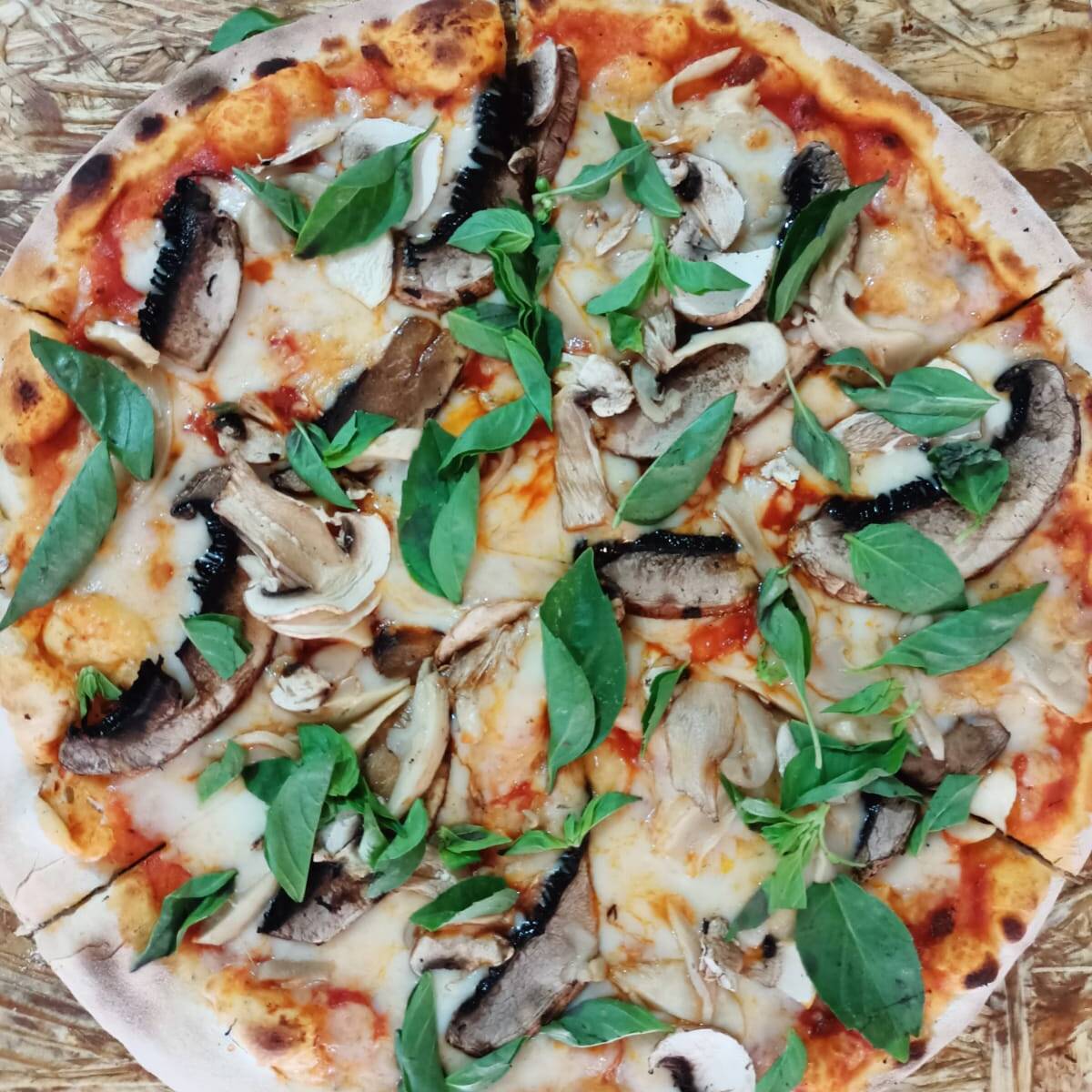 Vegetariana Paq 1