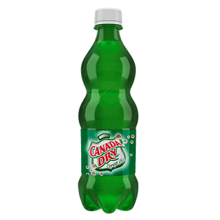 Ginger Ale 600 ml Desechable