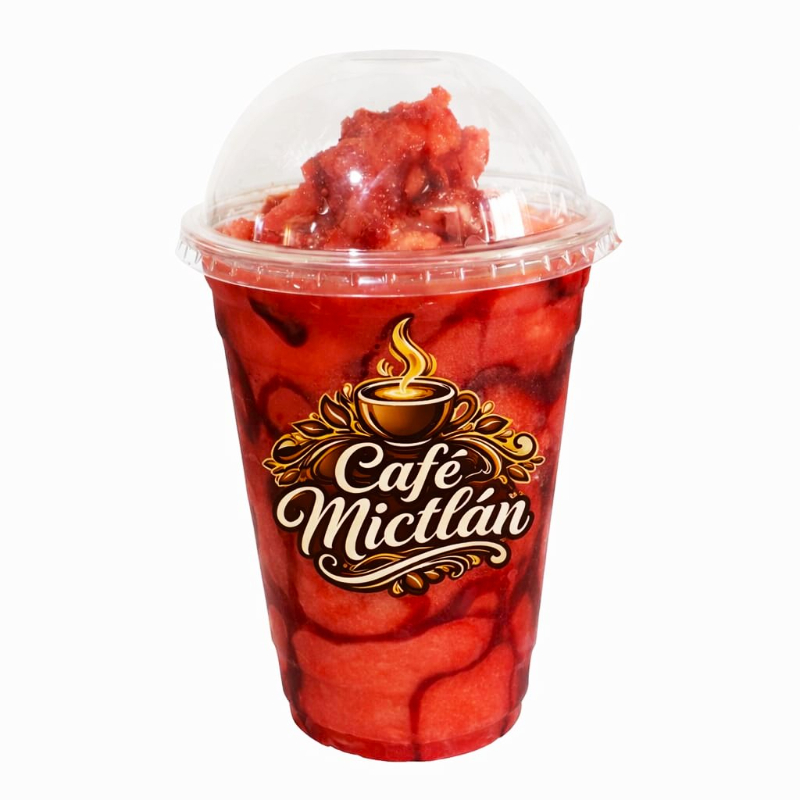 FRESA CHAMOY 480 ML