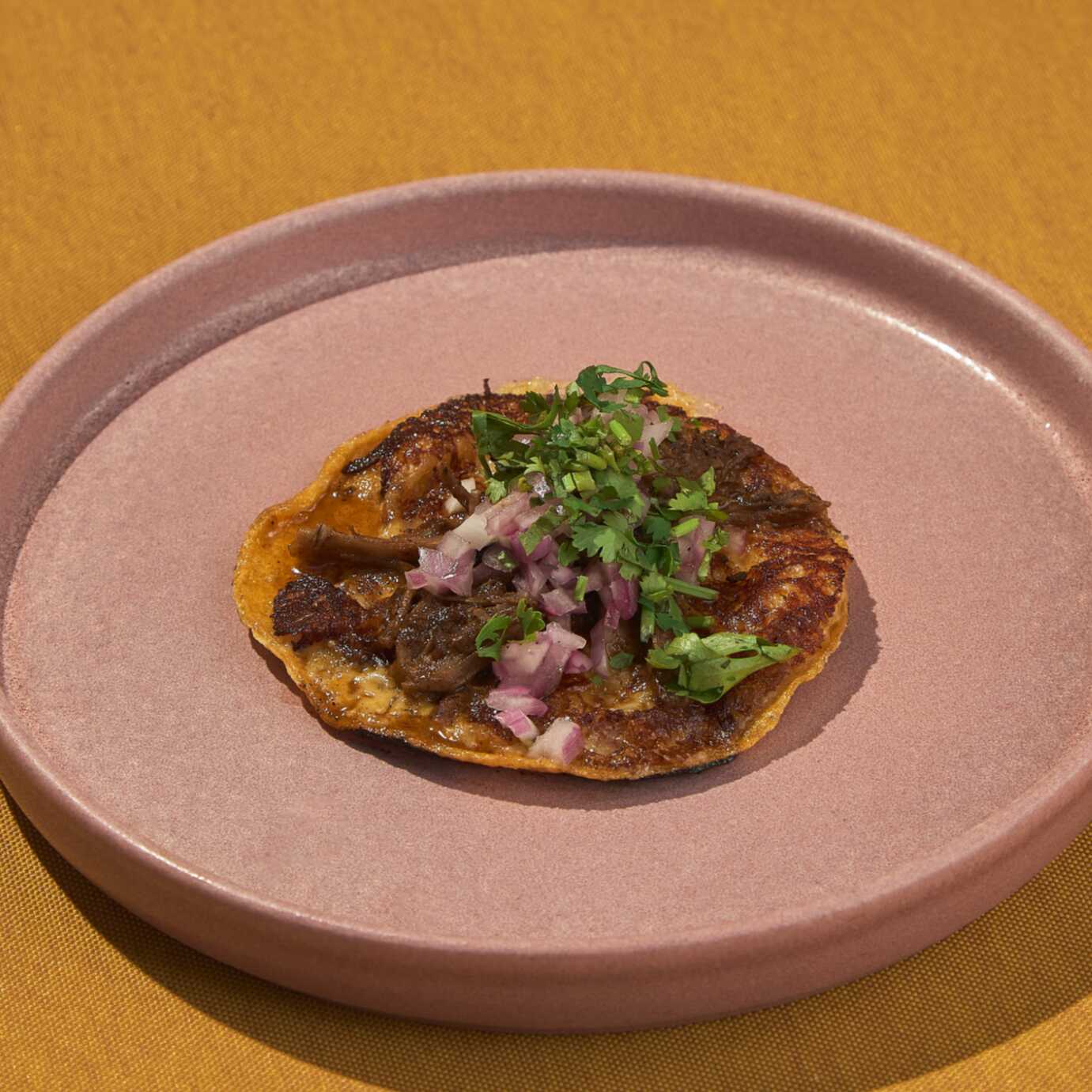 Taco de Birria