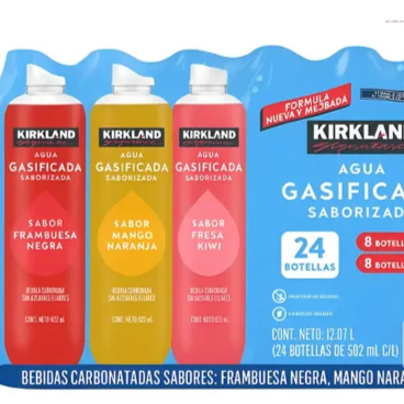 Agua gasificada frambuesa negra 503 ml
