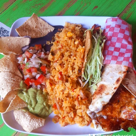 BANDEJA CARNAL