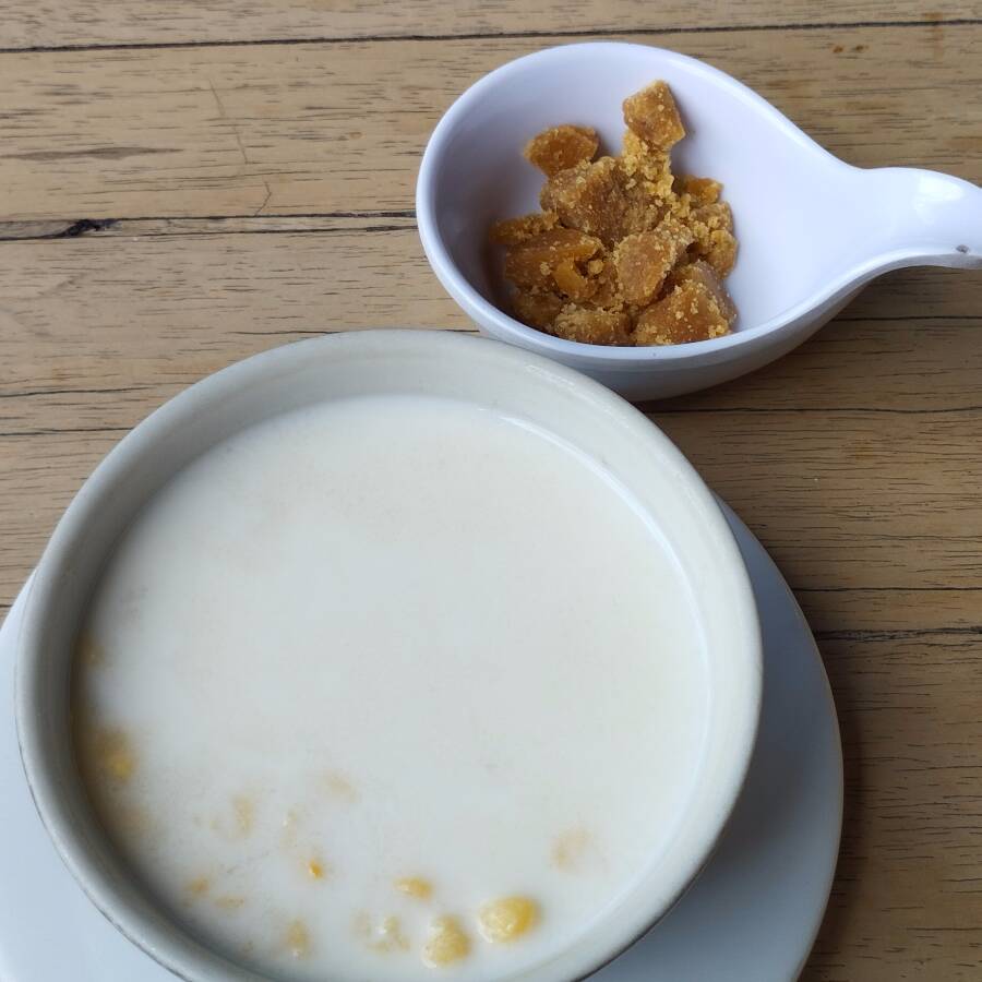 Mazamorra