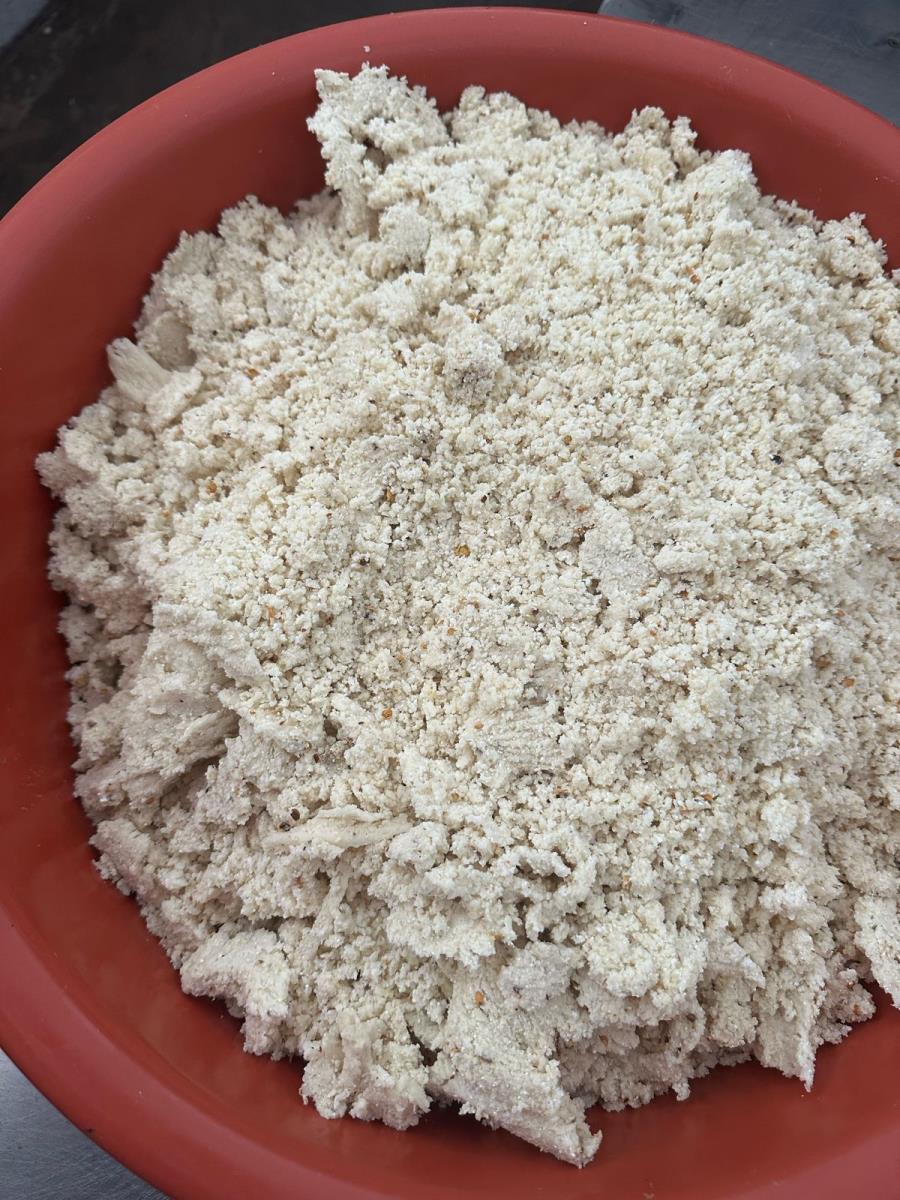 Masa Suelta