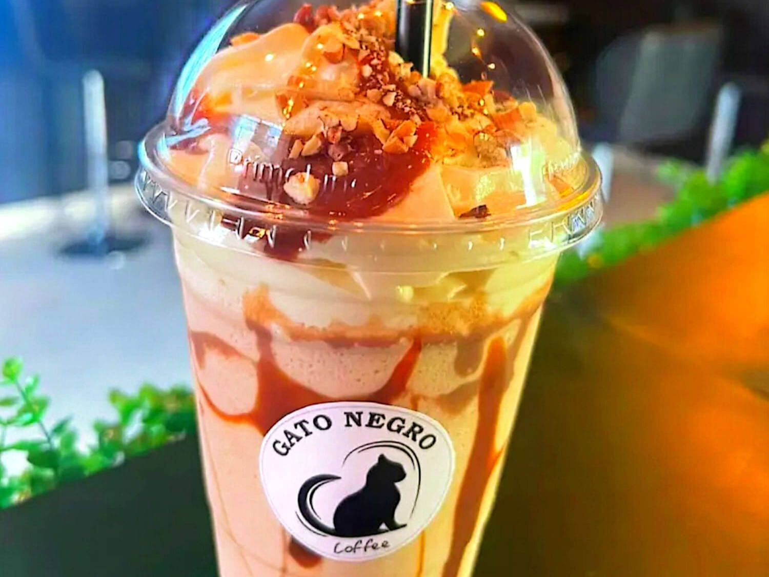 Cafetería Gato Negro