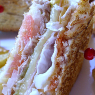 Sándwich Especial