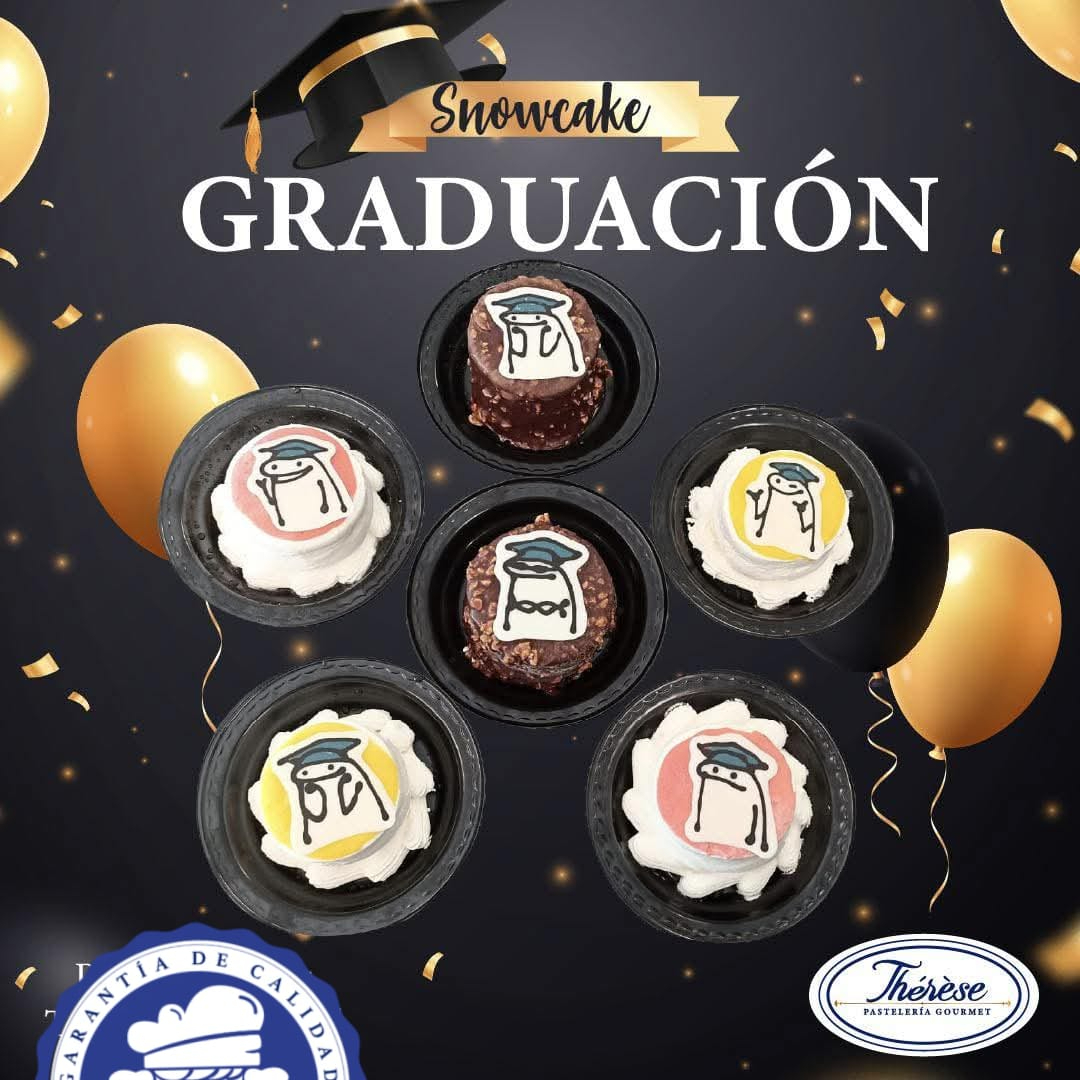 Snow Cake Individual Varios Sabores