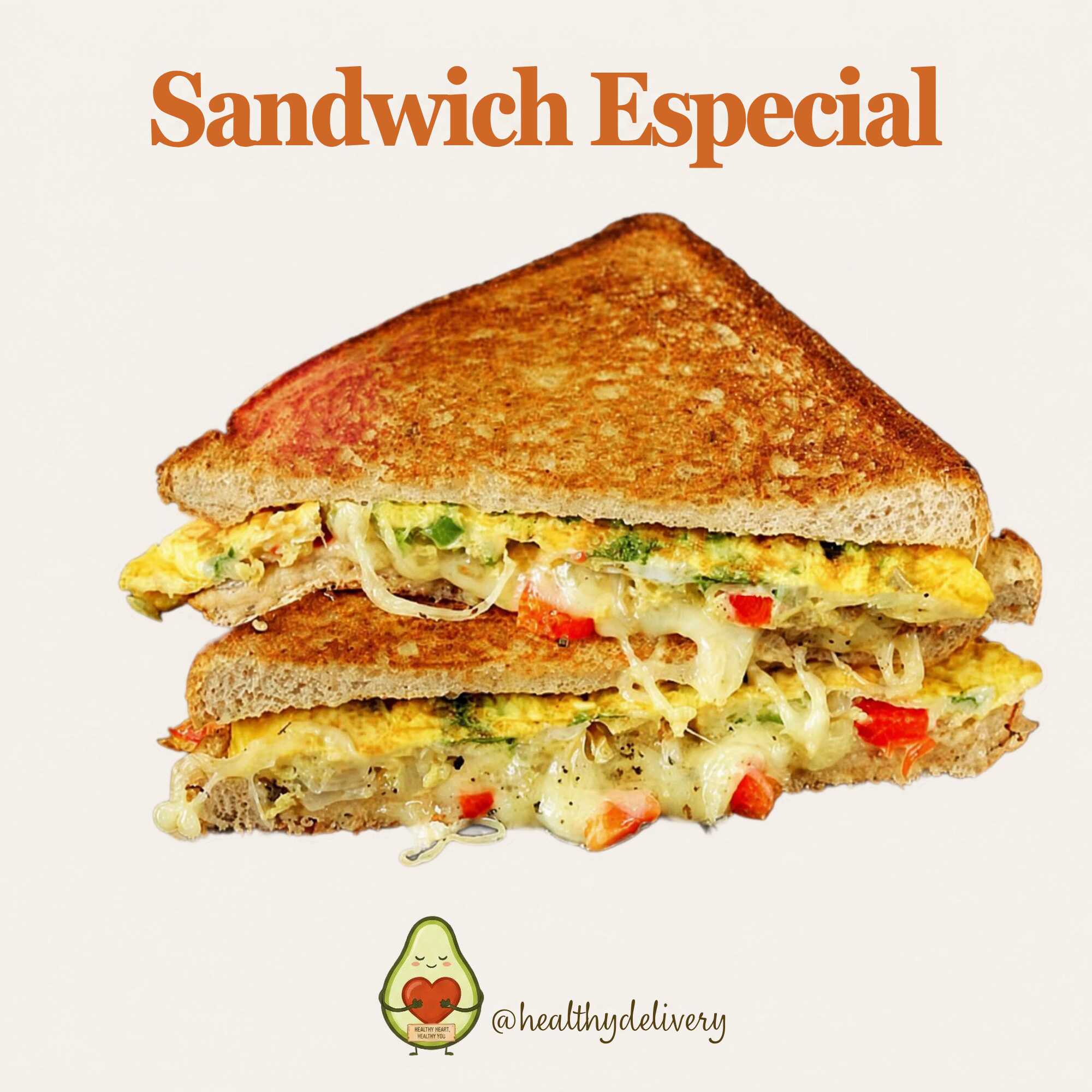 Sandwich Especial