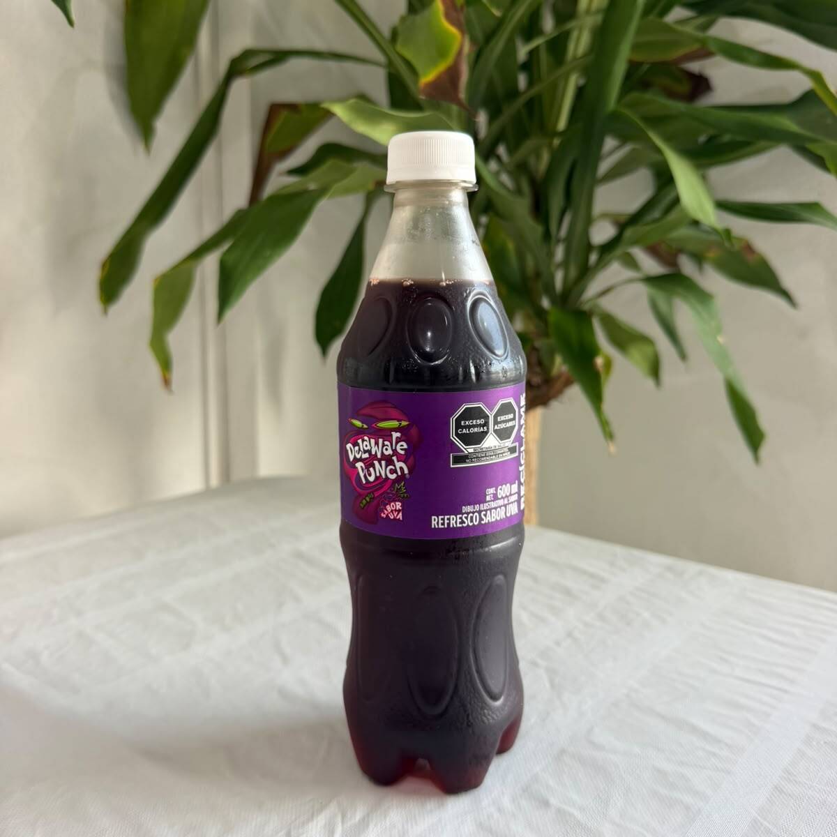 Escuis de Hierro 600 ml