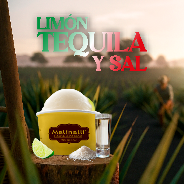 Litro de Nieve  (Sabor del Dia)