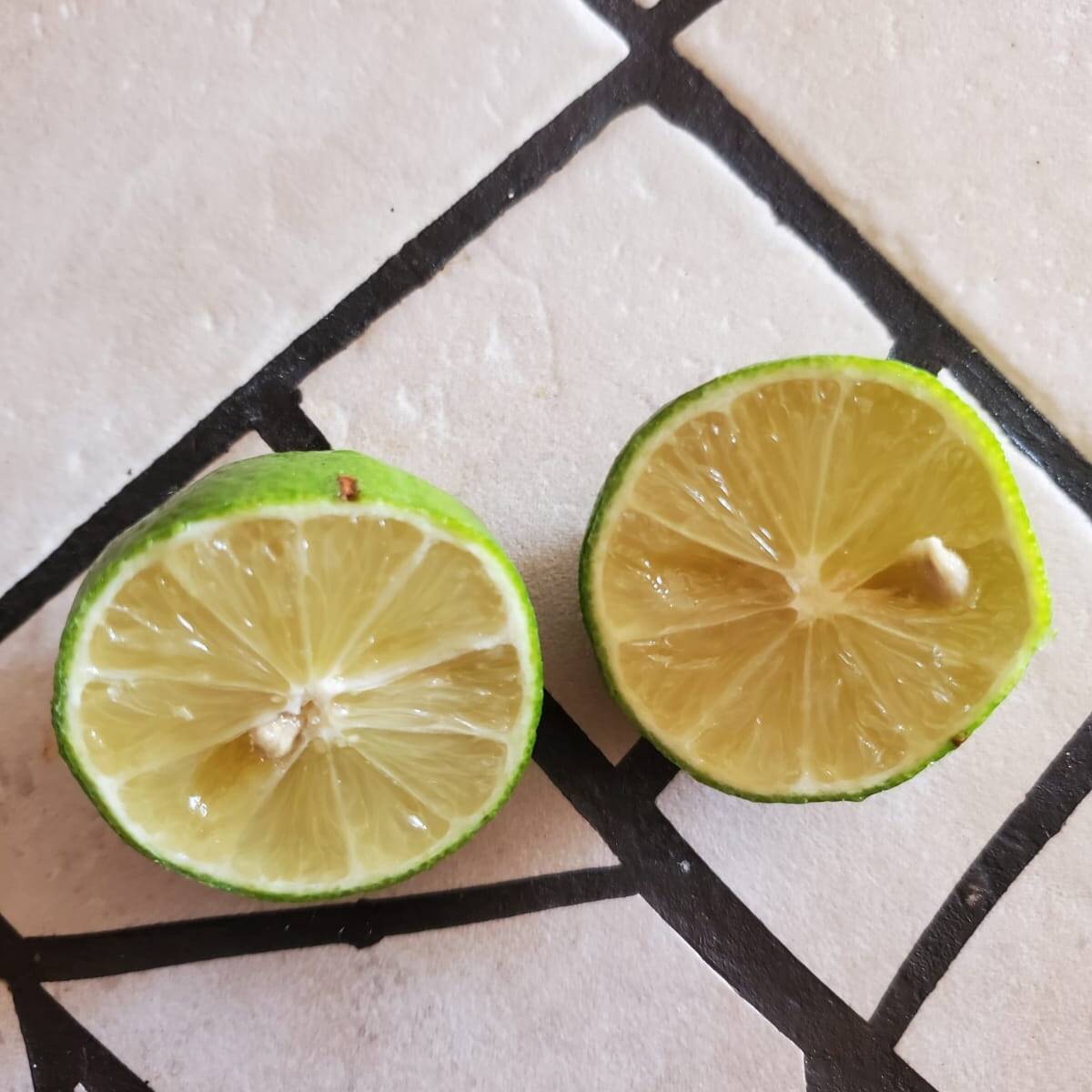 LIMONES EXTRAS
