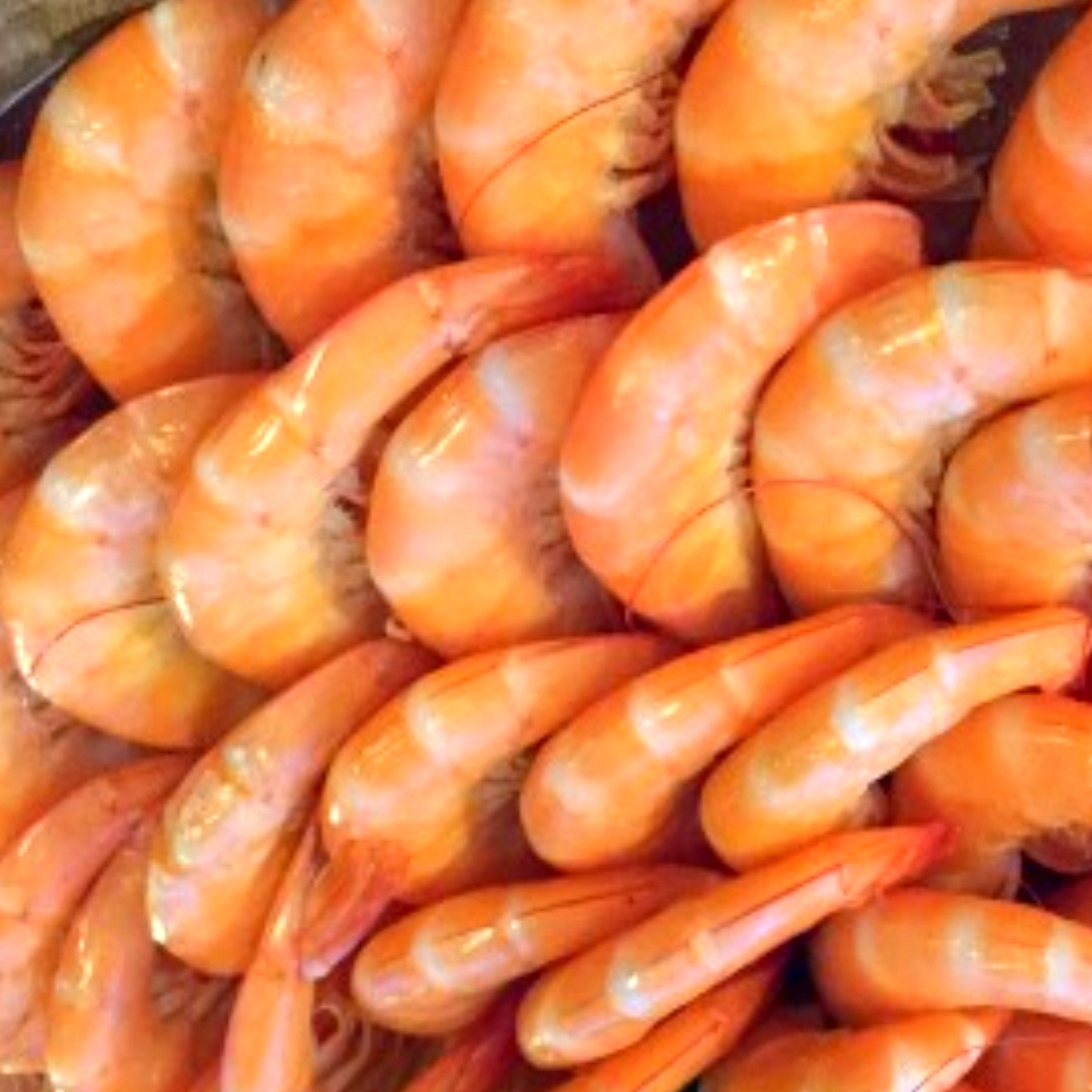1 KILO Camarones Botaneros para Pelar
