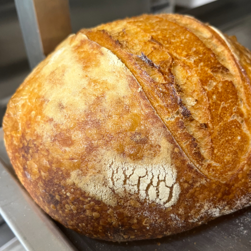 Hogaza Masa Madre (sourdough)