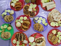 Taqueria Viña Vidal