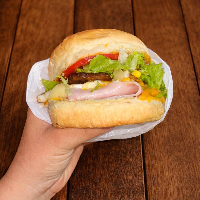 Pão de hambúrguer, 1 hambúrguer, muçarela, alface, tomate, milho, ovo, batata palha, maionese e ketchup!