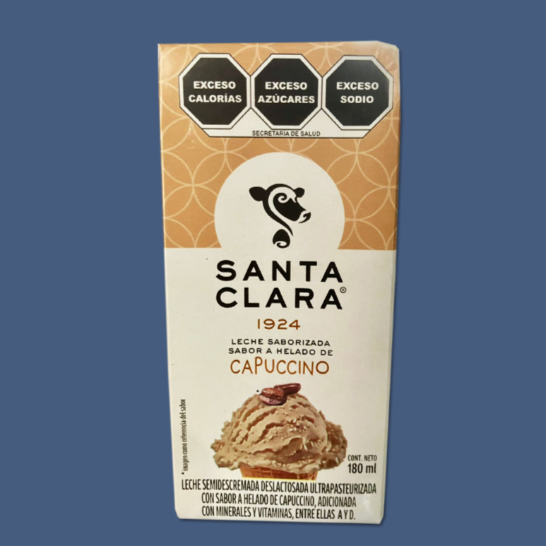 Leche Sabor Capuccino Santa Clara 180 Ml.