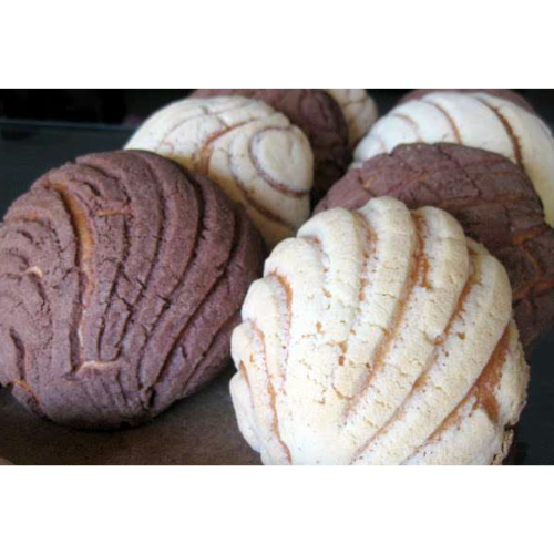 Paquete Conchas