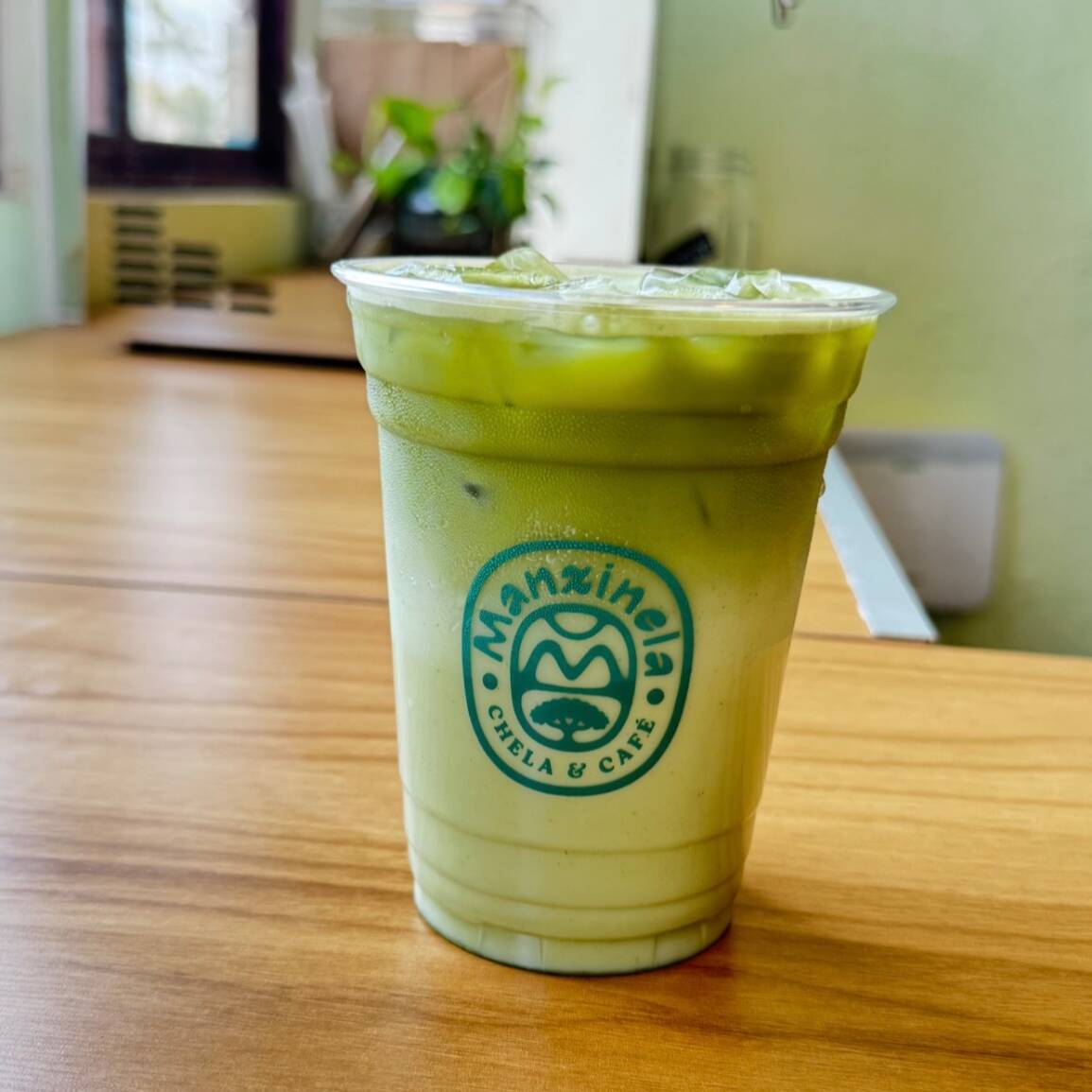 Matcha latte Frío