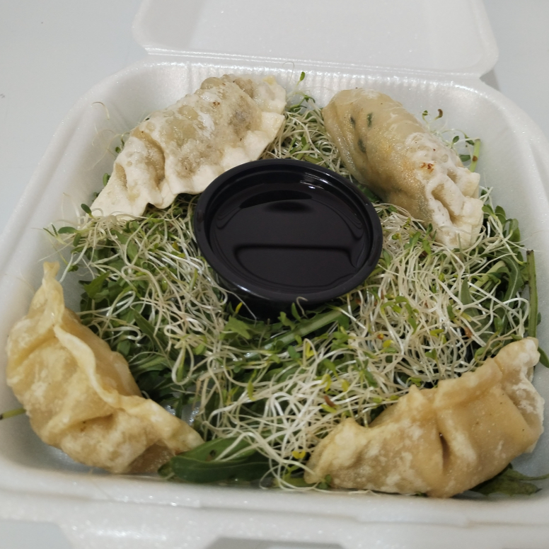 Orden de Dumplings
