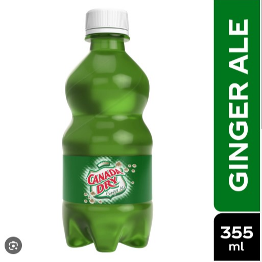 Ginger Ale 355 ml