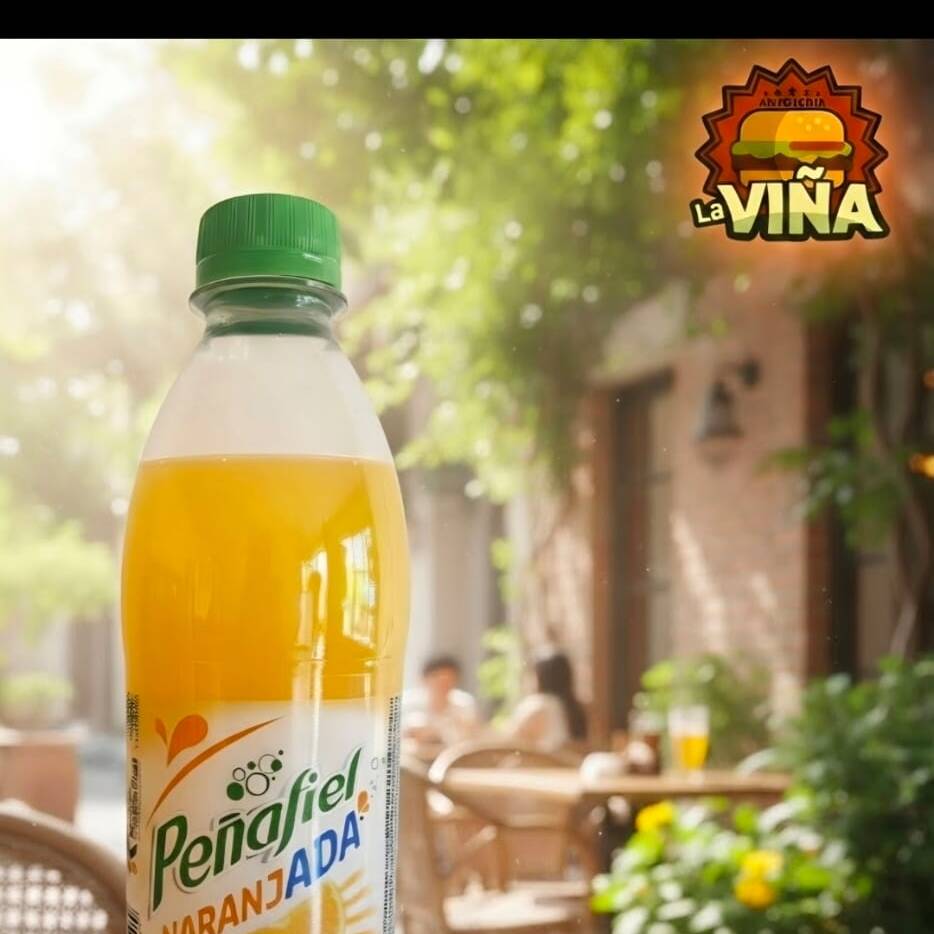 Penafiel Naranjada 400 Ml