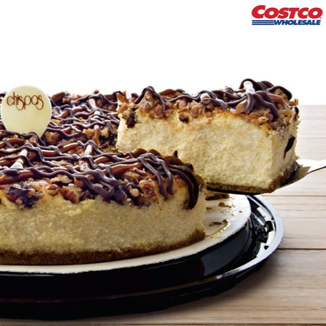 Cheesecake de Chocolate (Tortuga)