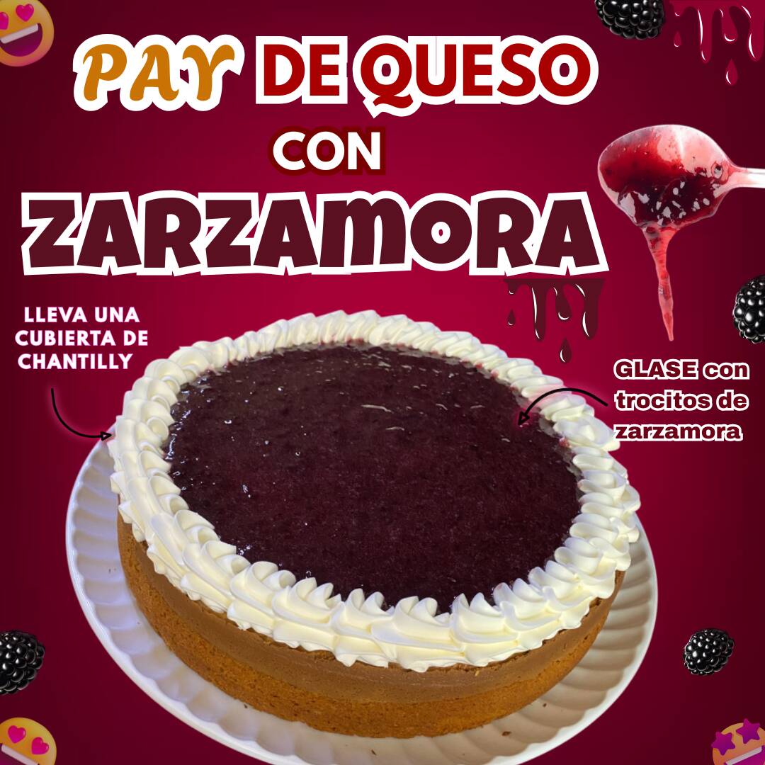 Pay de Queso con Zarzamora