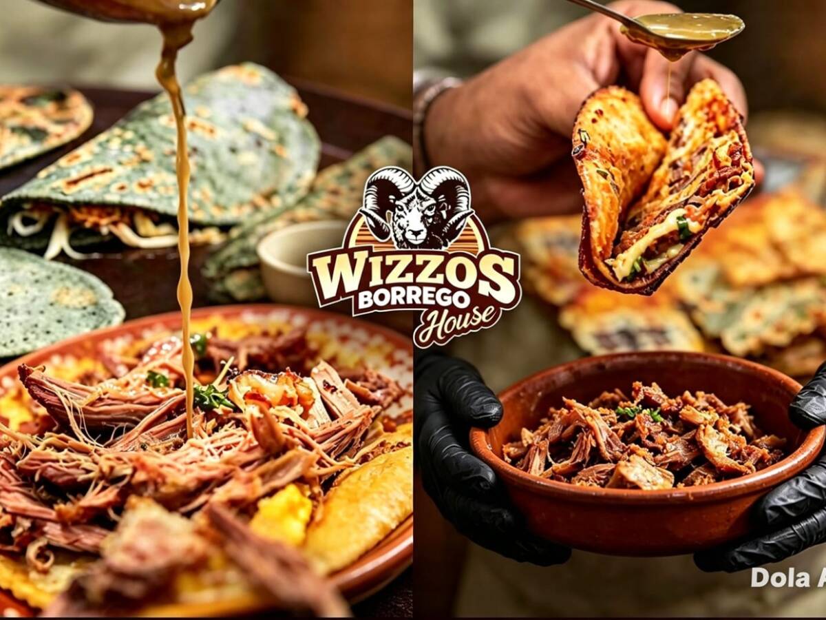 Wizzos Borrego House