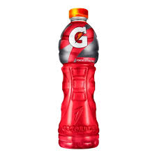 Gatorade Ponche de Frutas