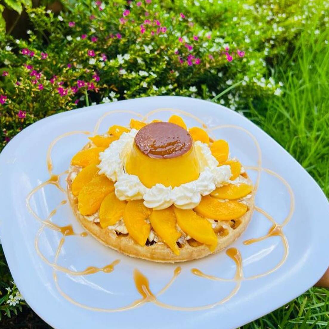 Peach Waffle
