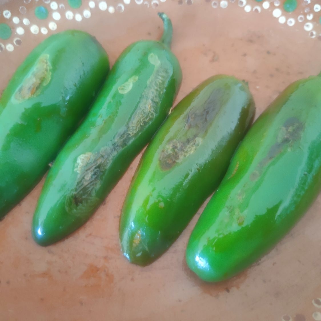 Chile jalapeño toreados