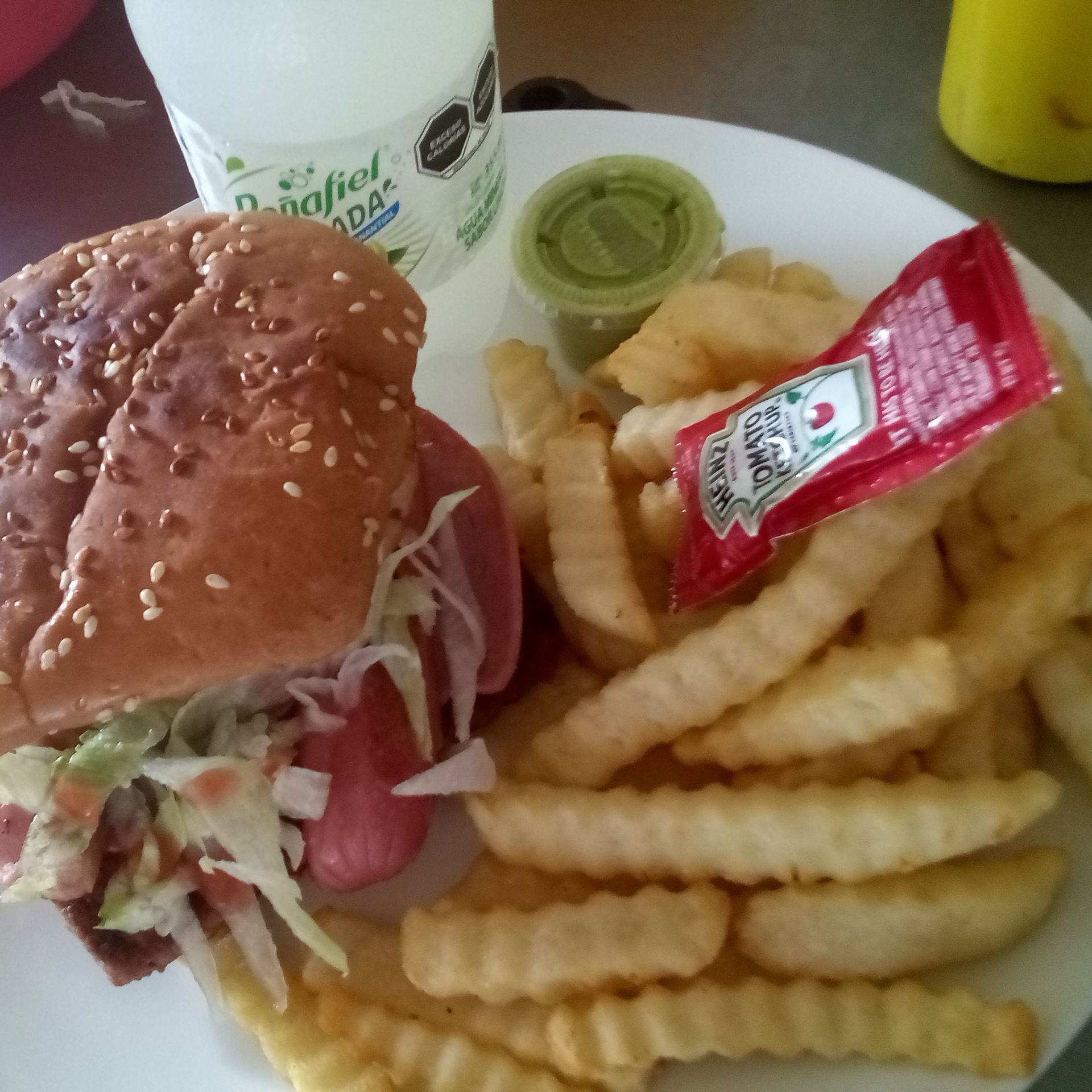 COMBO HAMBURGUESA ESPECIAL