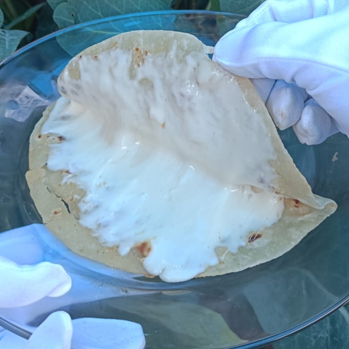 Quesadilla Sencilla