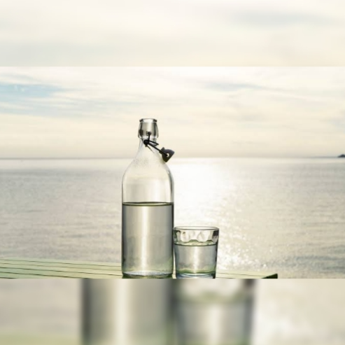 Agua natural 500ml