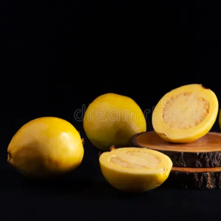 Agua de Guayaba 1 Litro