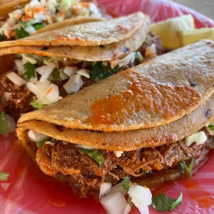 taco de borrego