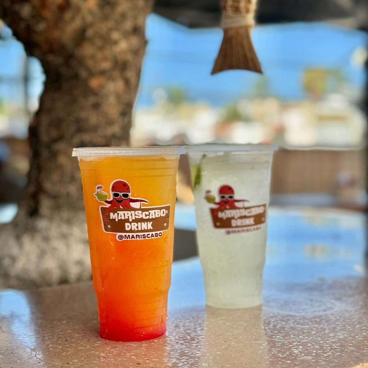 Agua del Día