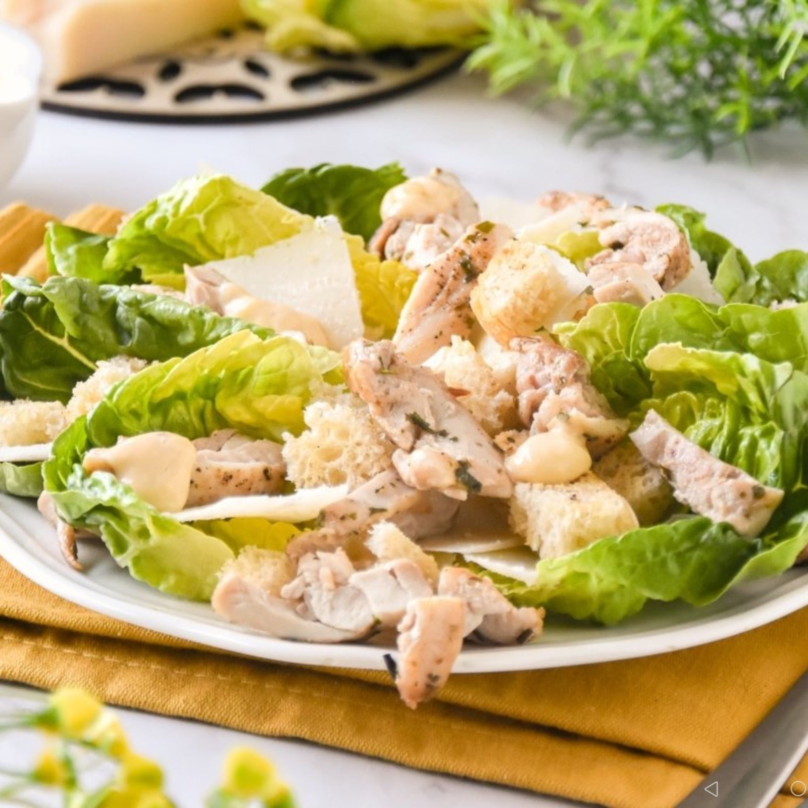 Ensalada César con Pollo.