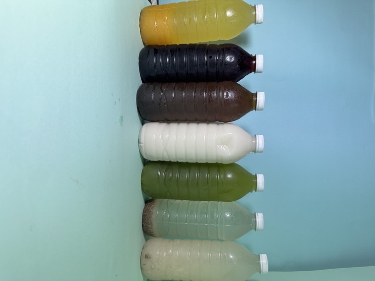 Agua fresca de 500 ML