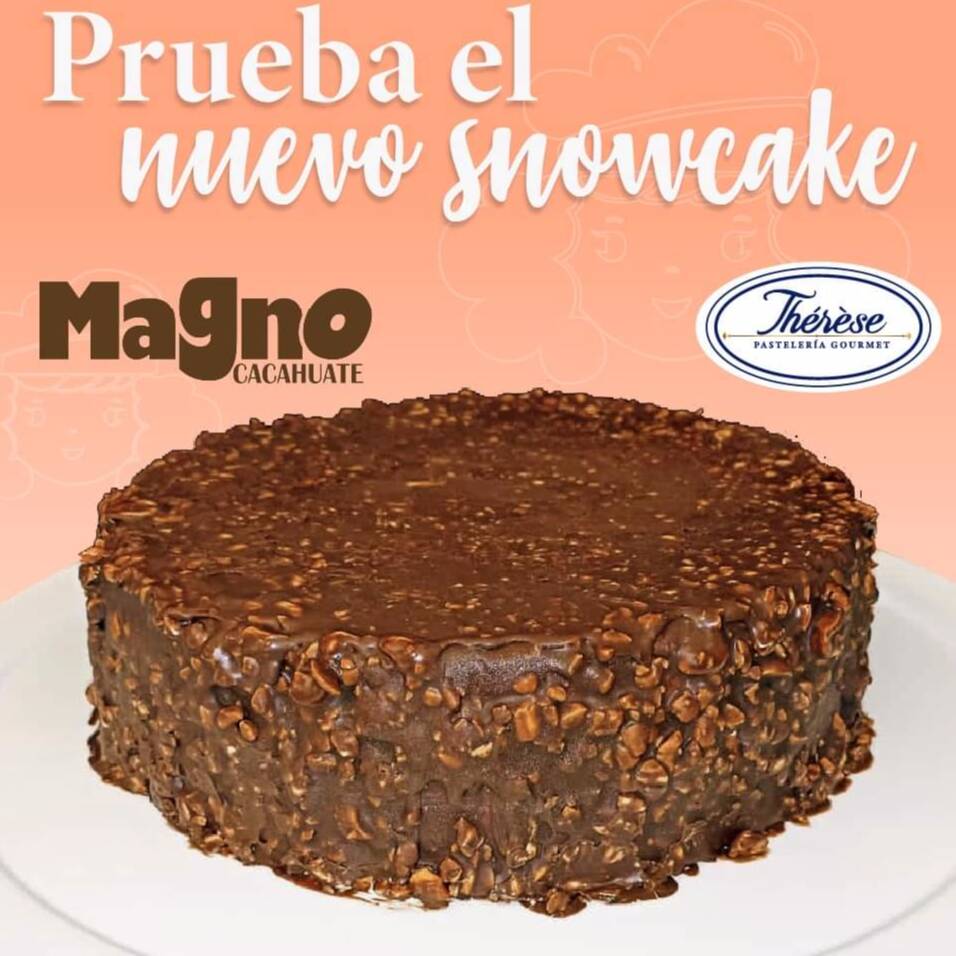 Snow Cake Mini Magno de Chocolate Crujiente