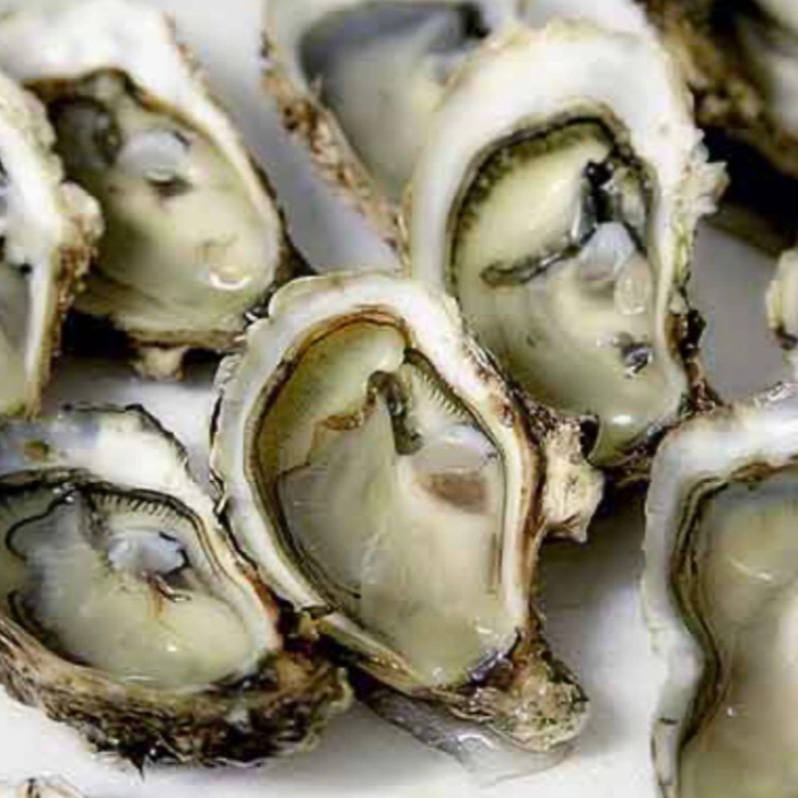 Ostiones en concha(12 Piezas)