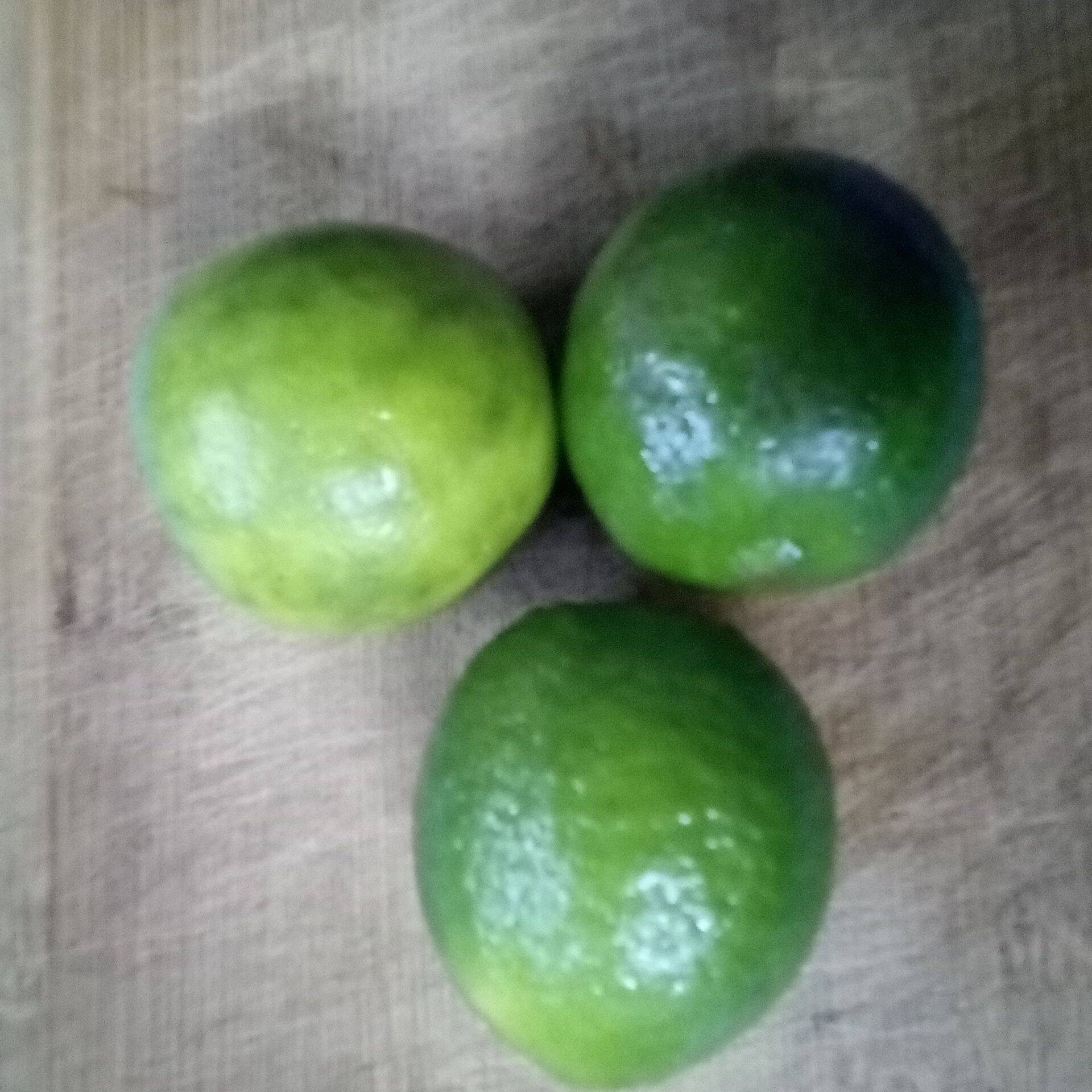 4. LIMONES