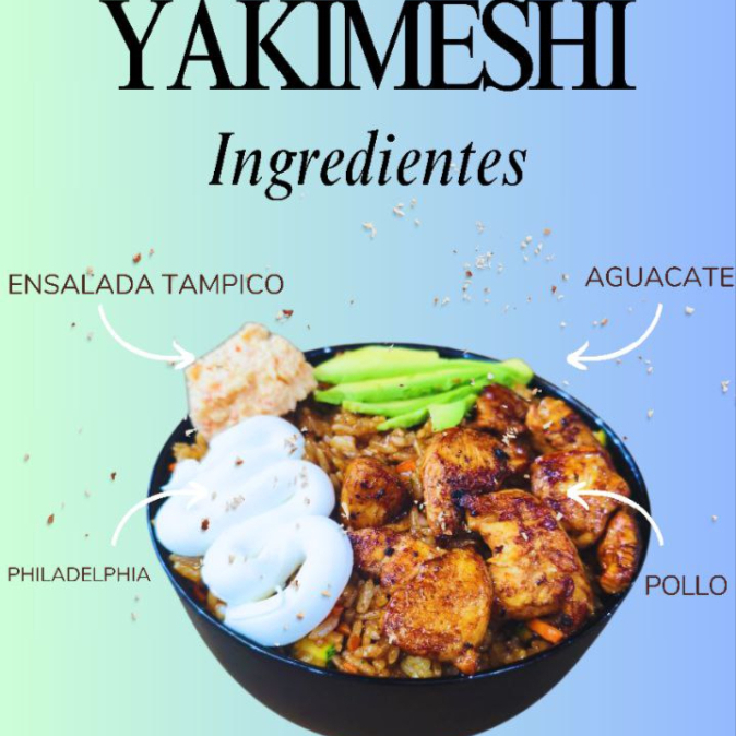 YAKIMESHI de Pollo Especial .300 Grs