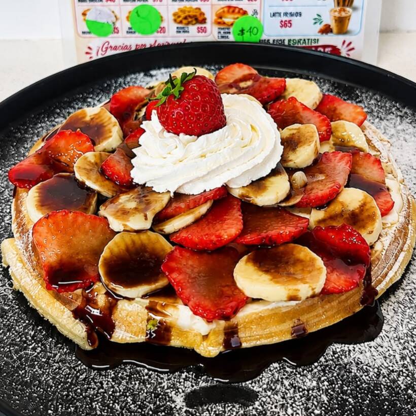 Waffle Redondo