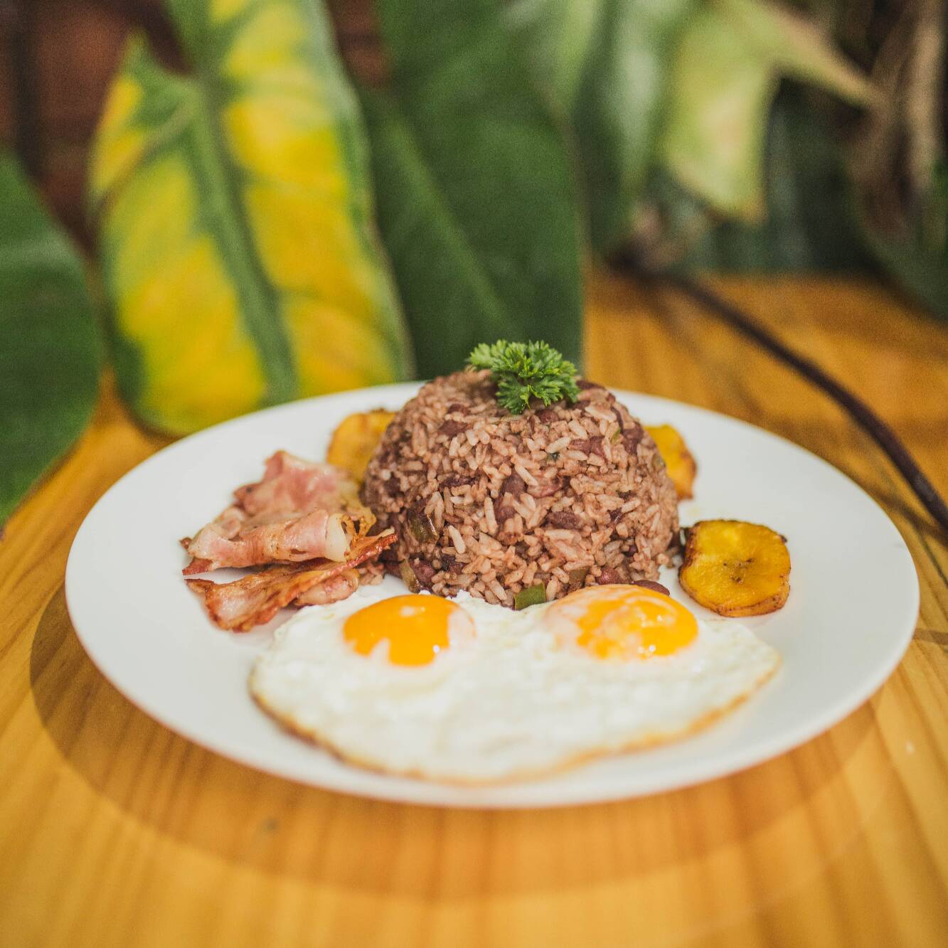 Gallo Pinto con Tocino